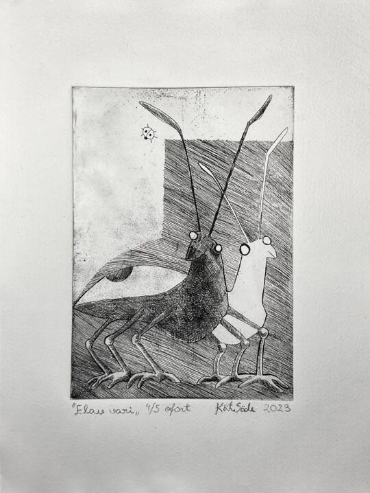 Kätriin Säde "Elav vari / The Living Shadow"