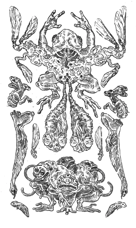 Kadri Kalve "Eneseareng / Self-development"
