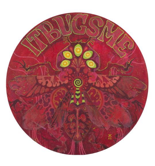 Kadri Kalve "It bugs me"